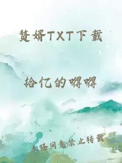 赘婿TXT下载