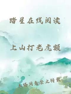 踏星在线阅读