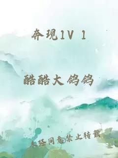 奔现1V 1