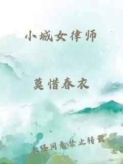 小城女律师