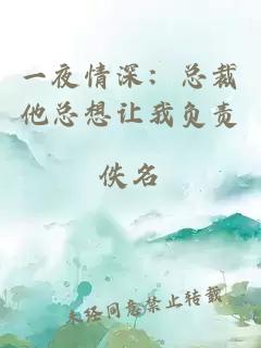 一夜情深：总裁他总想让我负责