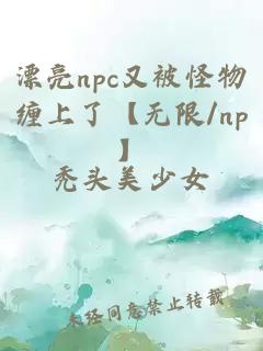 漂亮npc又被怪物缠上了【无限/np】