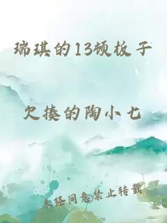 瑞琪的13顿板子