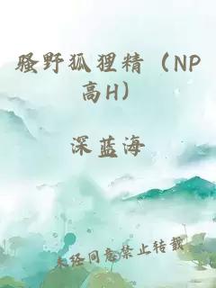 骚野狐狸精（NP 高H）