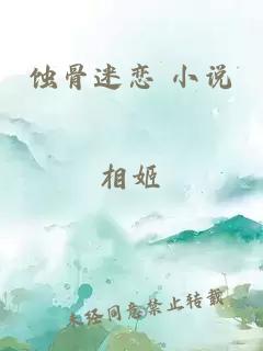 蚀骨迷恋 小说