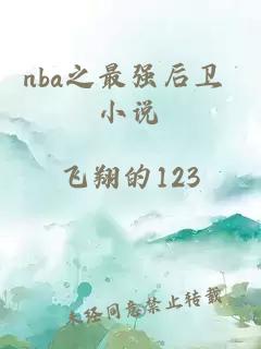 nba之最强后卫 小说