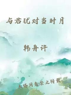 与君犹对当时月