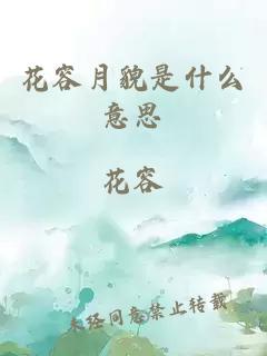 花容月貌是什么意思