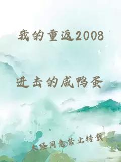 我的重返2008