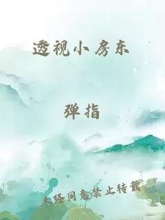 透视小房东