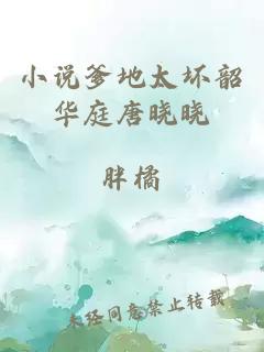 小说爹地太坏韶华庭唐晓晓